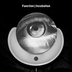 function.incubation.againstthesilence.wordpress.com