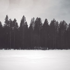 14nightsatsea.againstthesilence