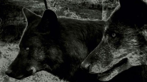 10logoi.agaiinstthesilence