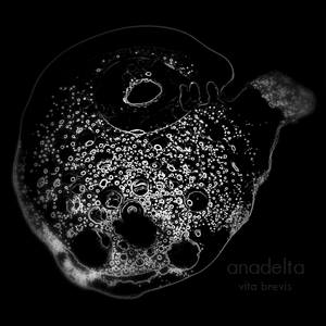 anadelta.vitalbrevis