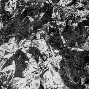 Barn-Owl-V.againstthesilence