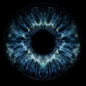 sophialoizou.againstthesilence