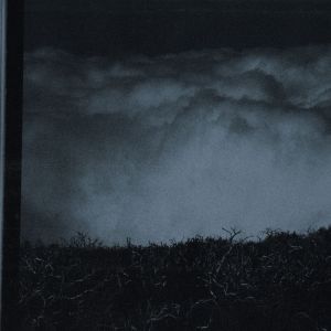 jonaskopp.againstthesilence