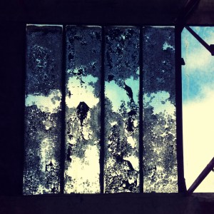 all-of-our-yesterdays-zenjungle.againstthesilence.com