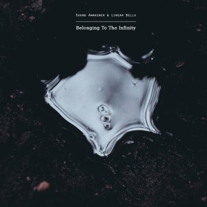 soundawakener&;inearbells.againstthesilence.com