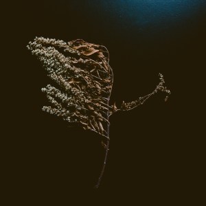 valiska.repetitions.againstthesilence