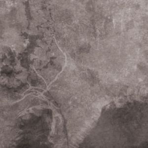 multicastdynamics.againstthesilence