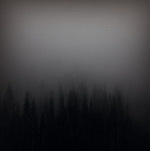 unland.againstthesilence.com