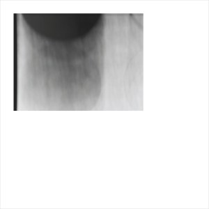 lawrenceenglish.baskaru.againstthesilence.com