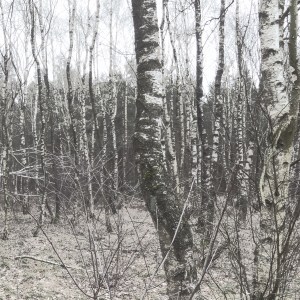 n49simulacra_birka.againstthesilence