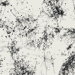 taylordeupree.againstthesilence