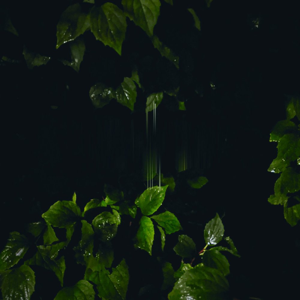 martinabertoni.againstthesilence